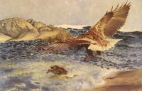 Liljefors, Bruno - A Sea Eagle Chasing Eider Duck